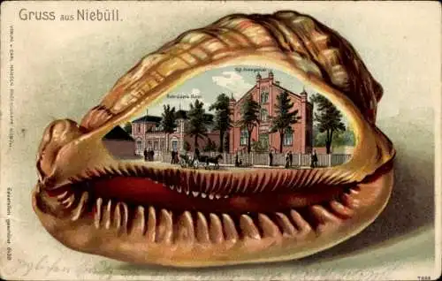 Präge Muschel Litho Niebüll in Nordfriesland, Amtsgericht, Schröder's Hotel
