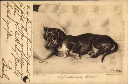 Künstler Litho Holst, J. v., Auf verbotenem Gebiet, Hund schläft im Bett