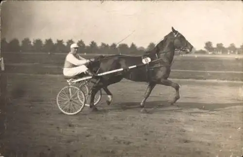Foto Ak Pferderennsport, Trabrennfahrer, Wagen Nr. 8