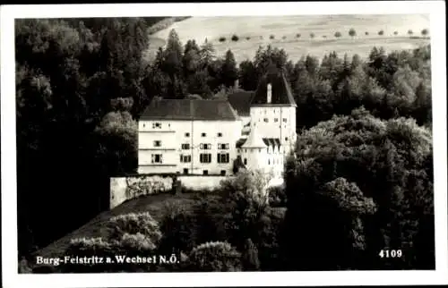 Ak Feistritz am Wechsel Niederösterreich, Burg