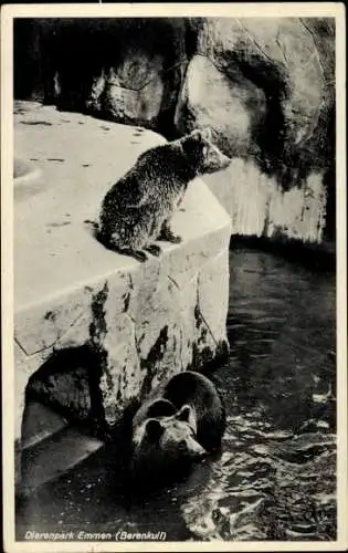 Ak Emmen Drenthe Niederlande, Bären im Tierpark
