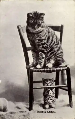 Ak Getigerte Katze auf einem Stuhl, junges Kätzchen spielt Verstecken