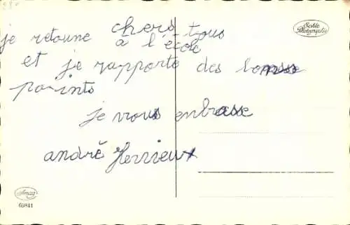 Ak Getigerte Katze, Tierportrait