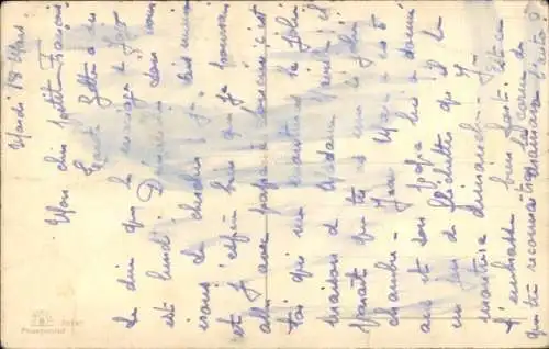 Ak Junge Katze, sitzend, Tierportrait