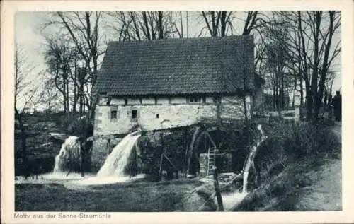 Ak Senne Paderborn, Motiv aus der Staumühle, Wassermühle