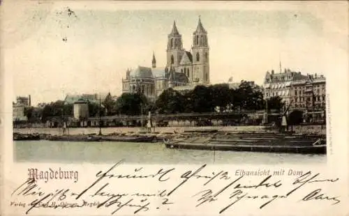 Ak Magdeburg an der Elbe, Elbansicht mit Dom