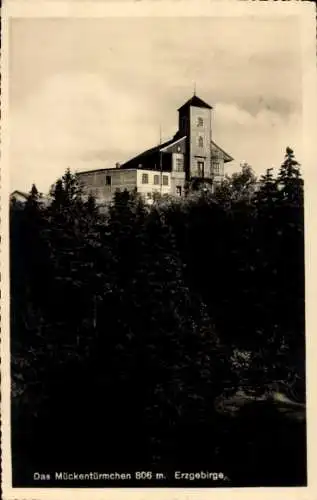 Ak Komáří hůrka Mückenberg im Erzgebirge Region Aussig, Mückentürmchen, Komáří Vizka