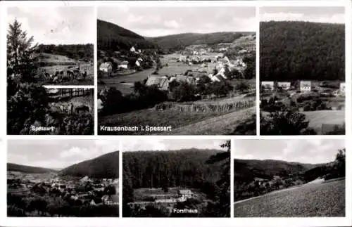 Ak Krausenbach Dammbach im Spessart, Teilansichten, Spessart, Forsthaus