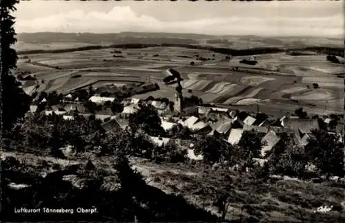 Ak Tännesberg in der Oberpfalz, Gesamtansicht, Panorama