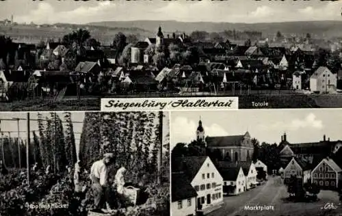 Ak Siegenburg im Hallertau Niederbayern, Marktplatz, Hopfenpflücker, Gesamtansicht