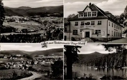 Ak Bodenmais in Niederbayern, Gesamtansicht, Gasthof Bayerischer Hof, See