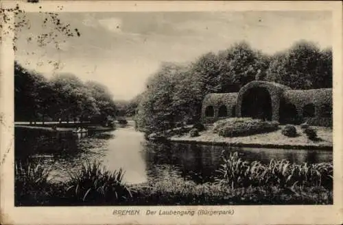 Ak Hansestadt Bremen, Bürgerpark, Der Laubengang