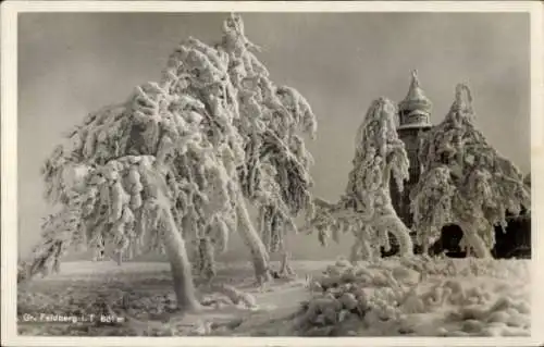 Foto Ak Niederreifenberg Schmitten im Taunus, Großer Feldberg, schneebedeckte Bäume