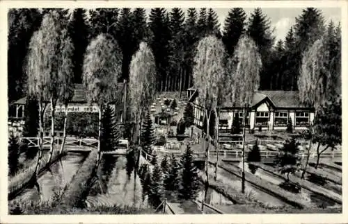 Ak Bad Homburg vor der Höhe Hessen, Forellengut Taunus