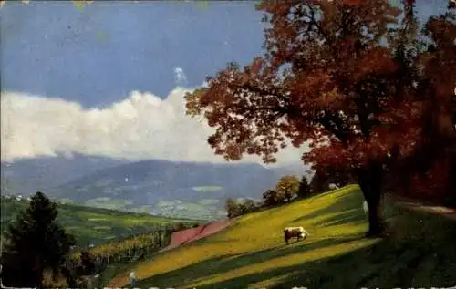 Ak Marling Marlengo Südtirol, Am Wassergraben