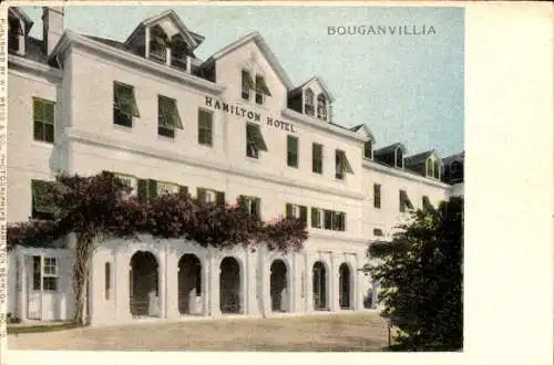 Ak Hamilton Bermuda, Bougainvillia, Hamilton Hotel