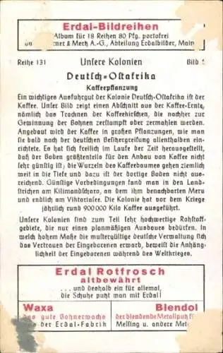 Sammelbild Erdal-Bildreihen, Marke Rotfrosch, Waxa Bohnerwachs, Deutsch-Ostafrika, Kaffeepflanzung