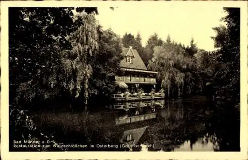 Ak Bad Münder am Deister, Restaurant Waldschlösschen im Osterberg, Goldfischteich