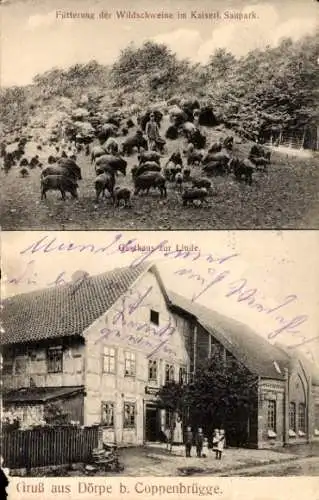 Ak Dörpe Coppenbrügge, Saupark, Fütterung der Wildschweine, Gasthaus zur Linde