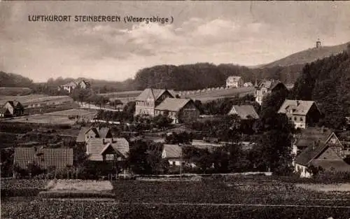 Ak Steinbergen Rinteln an der Weser, Panorama