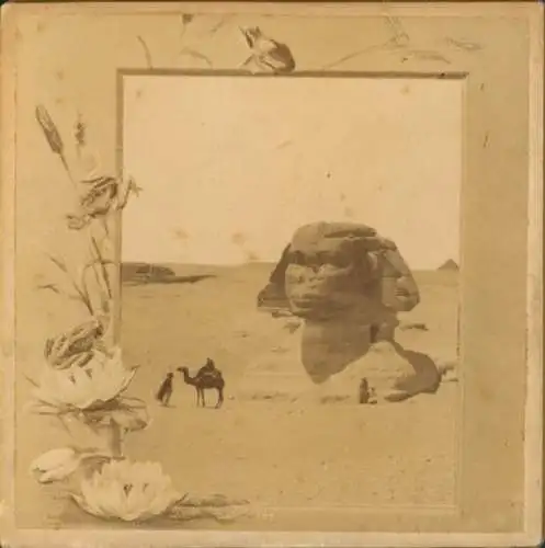 Kabinett Foto Ägypten, Sphinx, Kamel, 1895