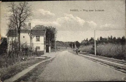 Ak Doorn Utrecht Niederlande, Weg nach Leersum