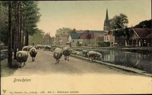 Ak Breukelen Utrecht Niederlande, Straßenpartie, Schafe