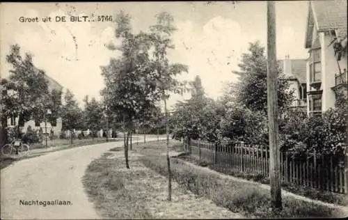 Ak De Bilt Utrecht Niederlande, Nachtegaallaan