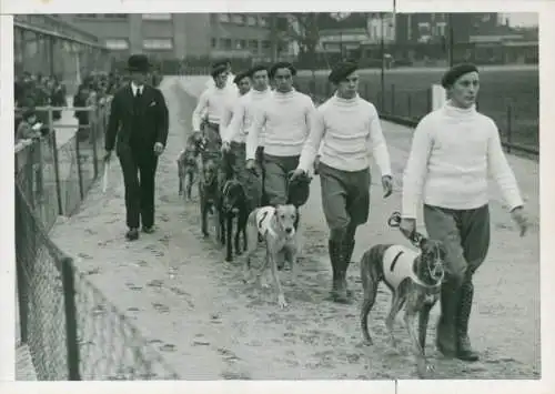 Foto Hunderennen, Windhunde, 1942
