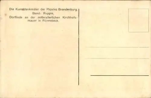 Ak Rönnebeck Sonnenberg in Brandenburg, Dorflinde an der mittelalterlichen Kirchhofsmauer