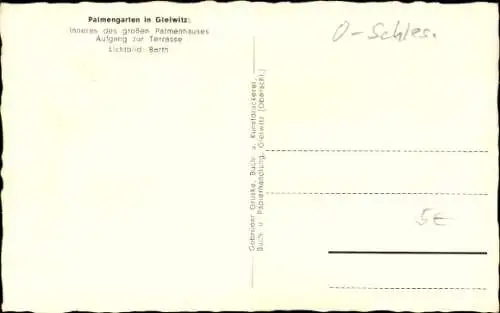 Ak Gliwice Gleiwitz Oberschlesien, Palmengarten, Großes Palmenhaus