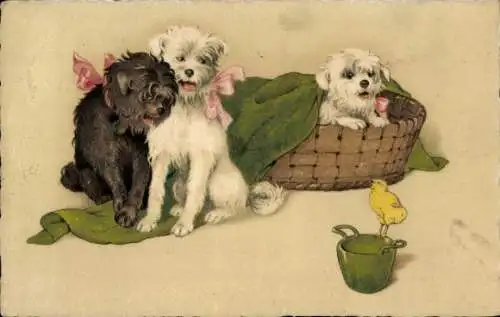 Künstler Ak Hundekörbchen, 3 Hunde, grüne Decke