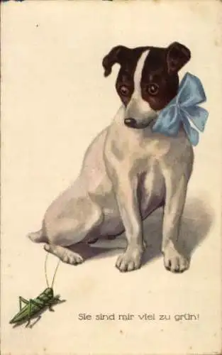 Ak Hund und Grashüpfer, Sie sind mir viel zu grün