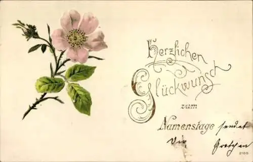 Präge Ak Glückwunsch zum Namenstag, Rose