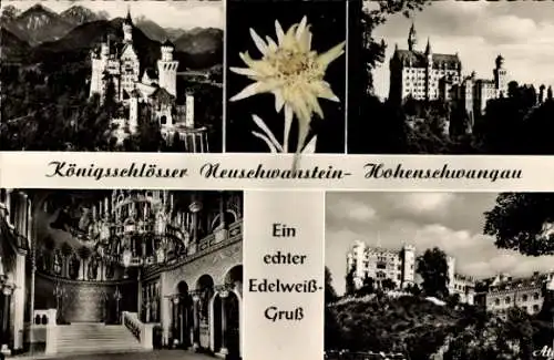 Ak Hohenschwangau Schwangau im Ostallgäu, Schloss Neuschwanstein, Königsschlösser, Edelweiß