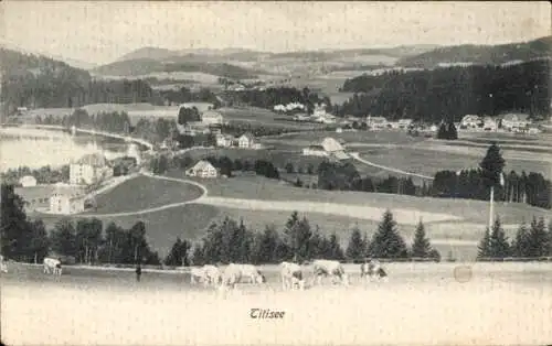 Ak Titisee Neustadt im Breisgau Hochschwarzwald, Totalansicht