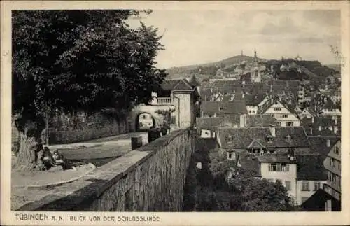 Ak Tübingen am Neckar, Blick von der Schlosslinde auf die Stadt