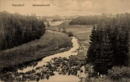 Ak Pansdorf Ratekau in Holstein, Mühlenschlucht