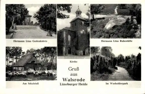 Ak Walsrode in der Lüneburger Heide, Hermann Löns Gedenkstein, Ruhestätte, Kirche, Wacholderpark