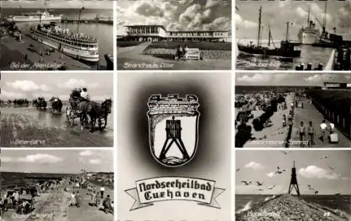 Ak Nordseebad Cuxhaven, Wappen, Wattenfahrt, Strandhaus Döse, Strand, Alte Liebe, Möwen