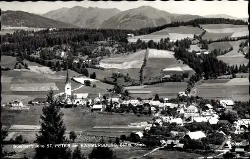 Ak Sankt Peter am Kammersberg Steiermark, Panorama