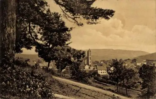 Ak Wangenbourg Vosges, Panorama