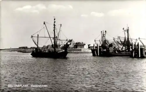 Ak Colijnsplaat Zeeland, Fischereihafen, Fischerboote