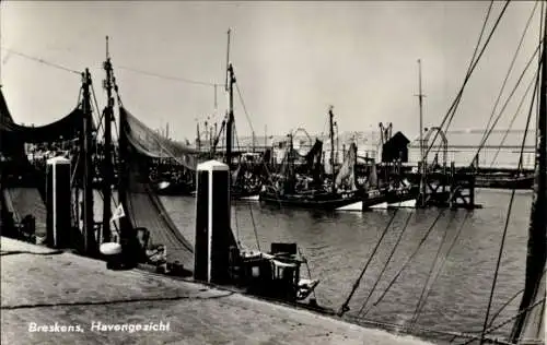 Ak Breskens Sluis Zeeland Niederlande, Hafen, Fischerboote