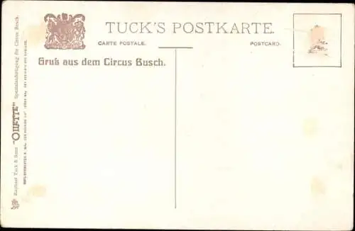 Künstler Ak Berlin Mitte, Circus Busch Roland, Busch Bau