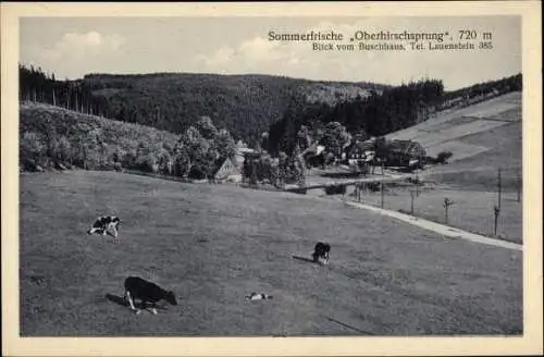 Ak Oberhirschsprung Altenberg im Erzgebirge, Blick vom Buschhaus, Kühe weiden