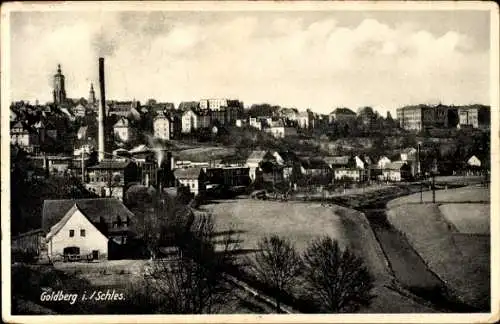 Ak Złotoryja Goldberg Schlesien, Panorama