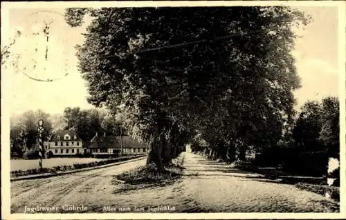 Ak Göhrde in Niedersachsen, Allee nach dem Jagdschloss, Jagdrevier