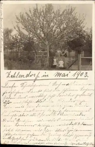 Foto Berlin Zehlendorf, Familienportrait am Baum zur Blütezeit