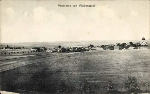 Ak Wabenstedt Braunschweig in Niedersachsen ?, Panorama